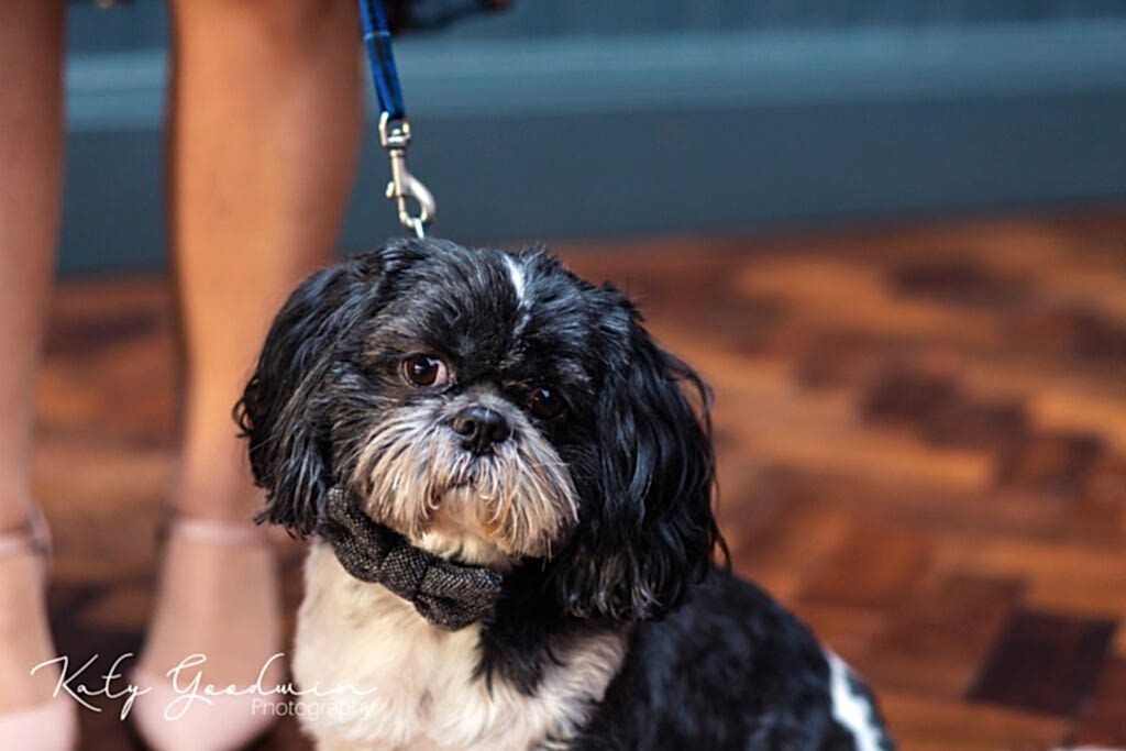 Wylam Brewery Wedding Photographer