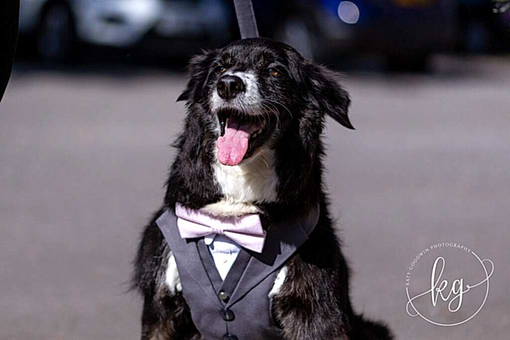 Wedding traditions