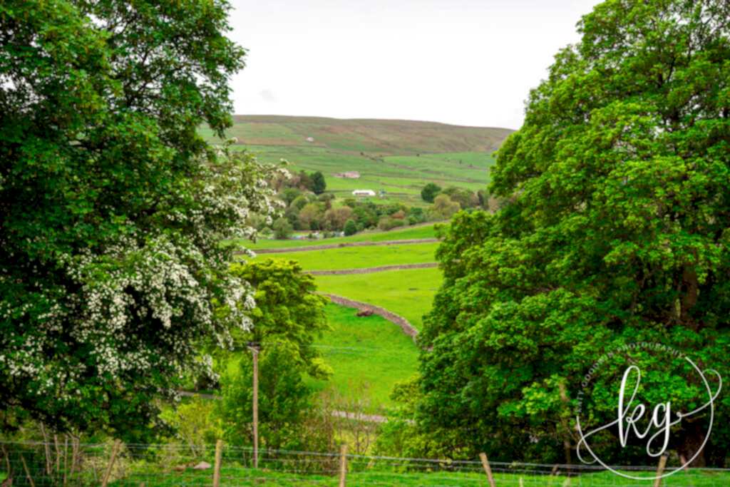 Marquee Weddings North Yorkshire