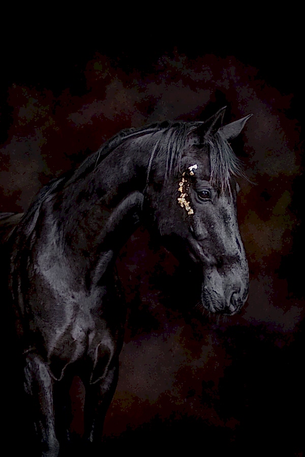A black horse with a shiny coat and a decorative pattern on its face stands against a dark, textured background.