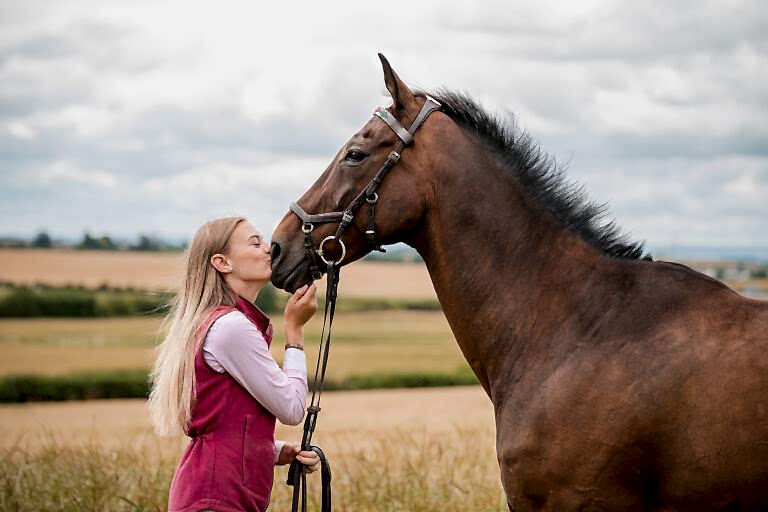 Horse Photography North East