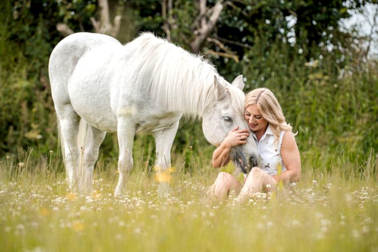 Horse Portraits North Yorkshire